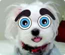 hey