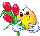red tulips
