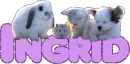 Ingrid (baby animals)