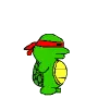 ninja turtle