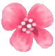 rainbow flower