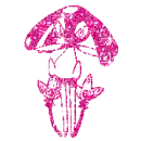 Mesprit Glitter