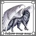 Follow Your Soul