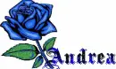 this is for you Andrea