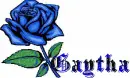 this is for you Gaytha