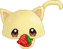 kitty