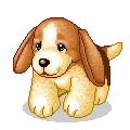 puppy