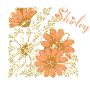 Shirley