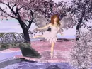 Pink Fairy