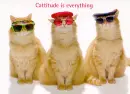 Cattitude