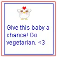 Baby chicken