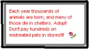 Pet stores