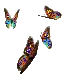 mariposas- butterflies