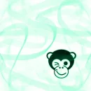 Monkey4