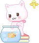 cat & aquarium