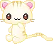 cutie cat