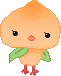 momo peach chick