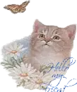 Hello My Friend