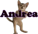 Andrea (cat)