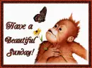 have a beautiful sunday