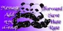 Contact Table Panda