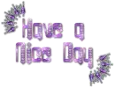 Diamond Pierced Text - Have a Nice Day