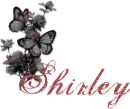Shirley