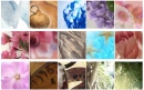 collage natural? :D