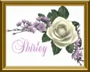 Shirley