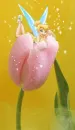 Tink