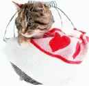 cat in basket