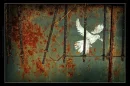 dove