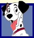 Pongo