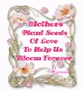 Mother's Plant .....