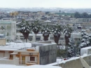 snow1