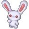 Snowbunny