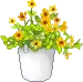 flowers in a pot