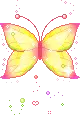 cute butterfly