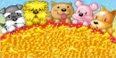 super cute puppies
