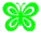 green butterfly