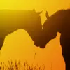 Two Horses