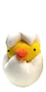 baby chick