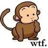 monkey