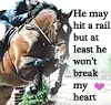 Show Jumping