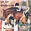 Show Jumping
