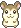 hamster