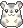 hamster