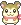 hamster