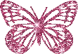 pink butterfly