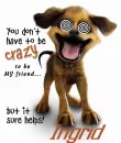 Ingrid crazy dog